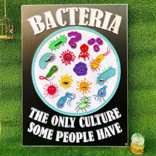 Bacteria The only culture some people have — custom string art Pakistan handmade by Woody Strings Lahore Pakistan