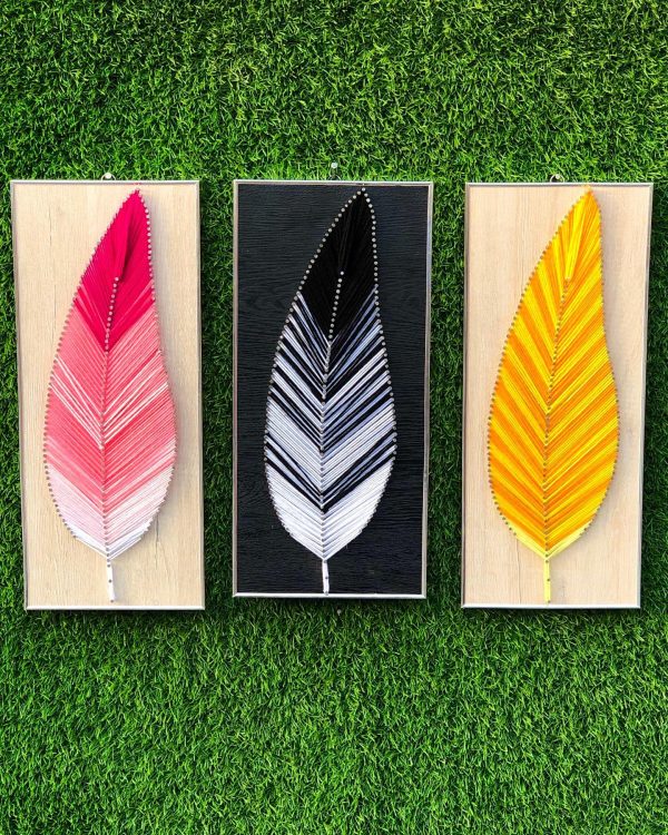 Beautiful feather frames in different colors — custom string art Pakistan handmade by Woody Strings Lahore Pakistan