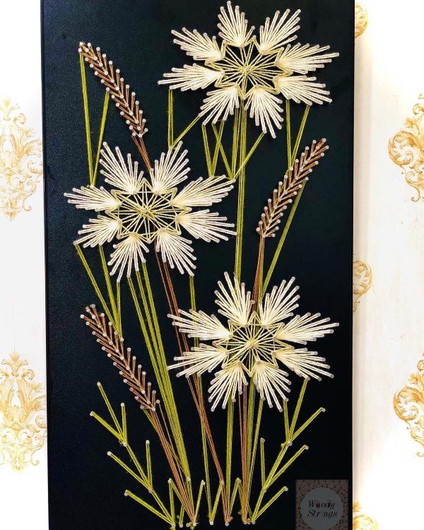 The gold fields — custom string art Pakistan handmade by Woody Strings Lahore Pakistan